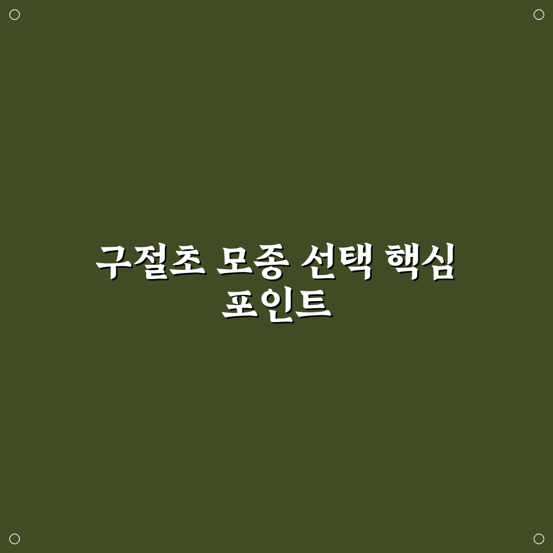 구절초 모종 선택 가이드와 생장 체크포인트 분석