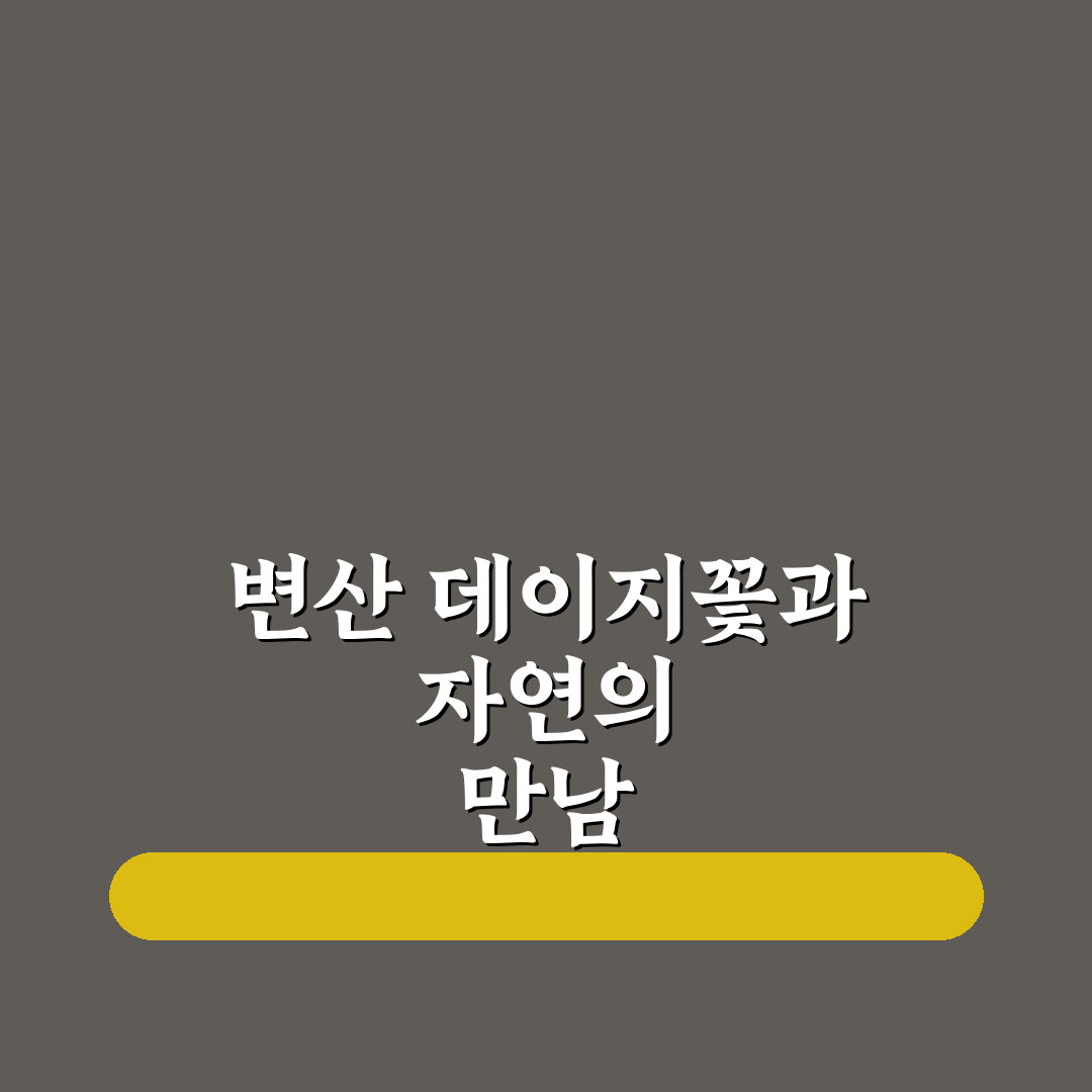 변산 데이지꽃 종류별 특징과 선택 가이드 분석