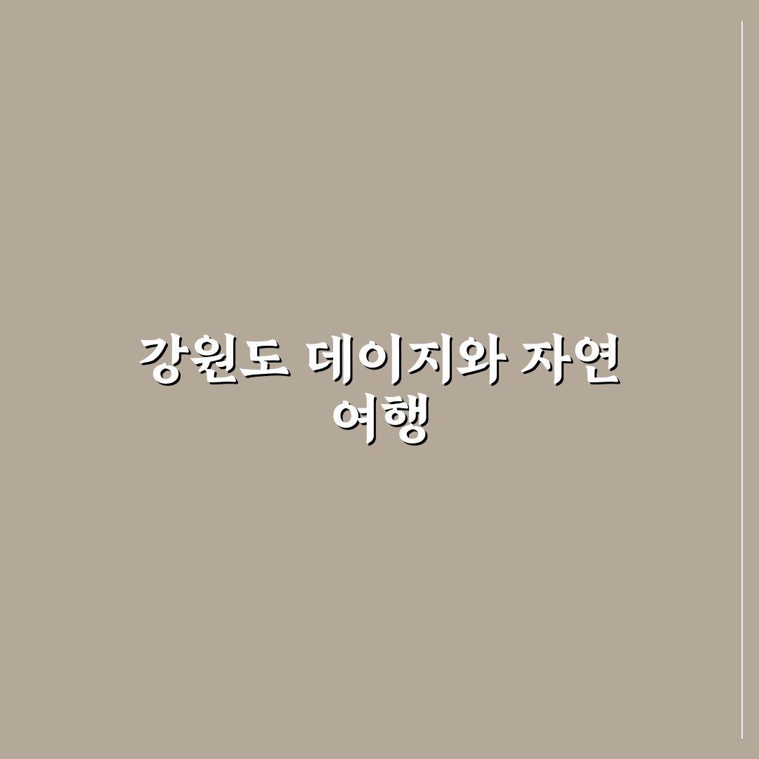 강원도 데이지 꽃밭 방문 전 꼭 확인할 5가지 비교 기준