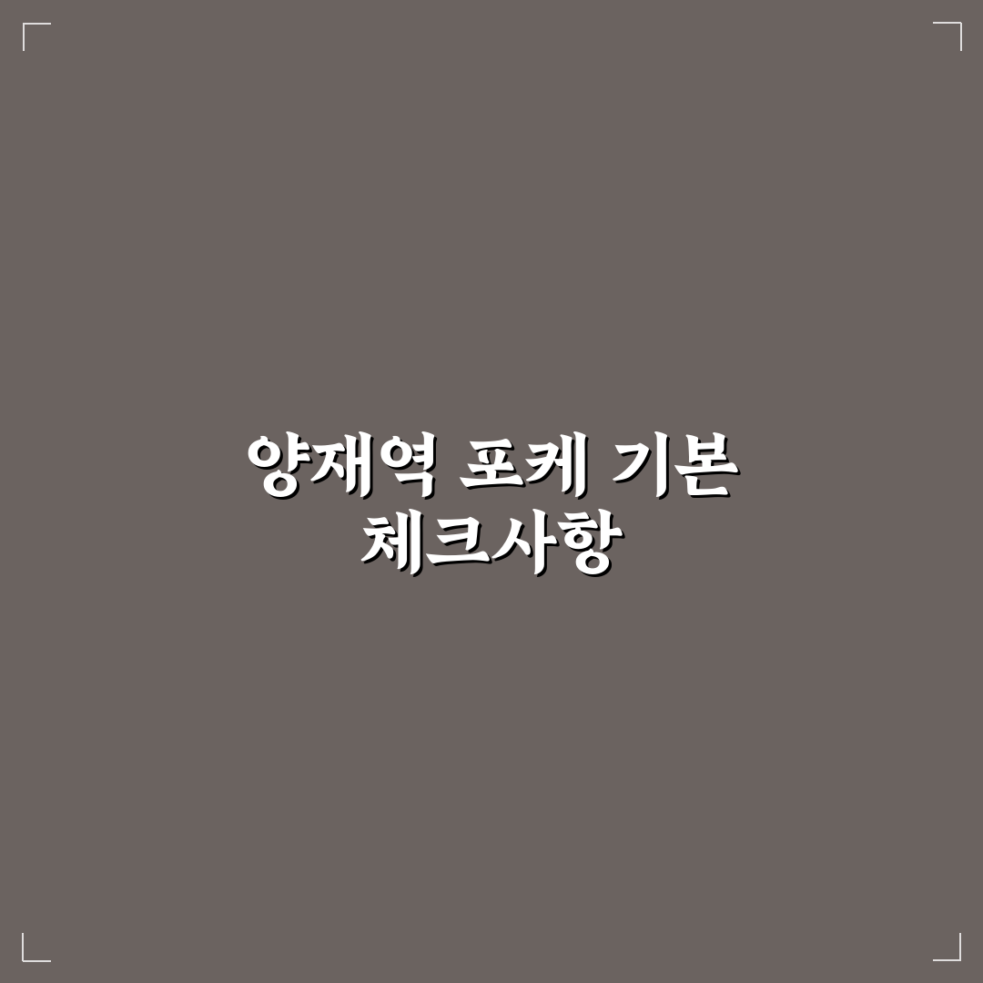 양재역 포케 비교와 맛, 가격, 접근성 기준 총정리