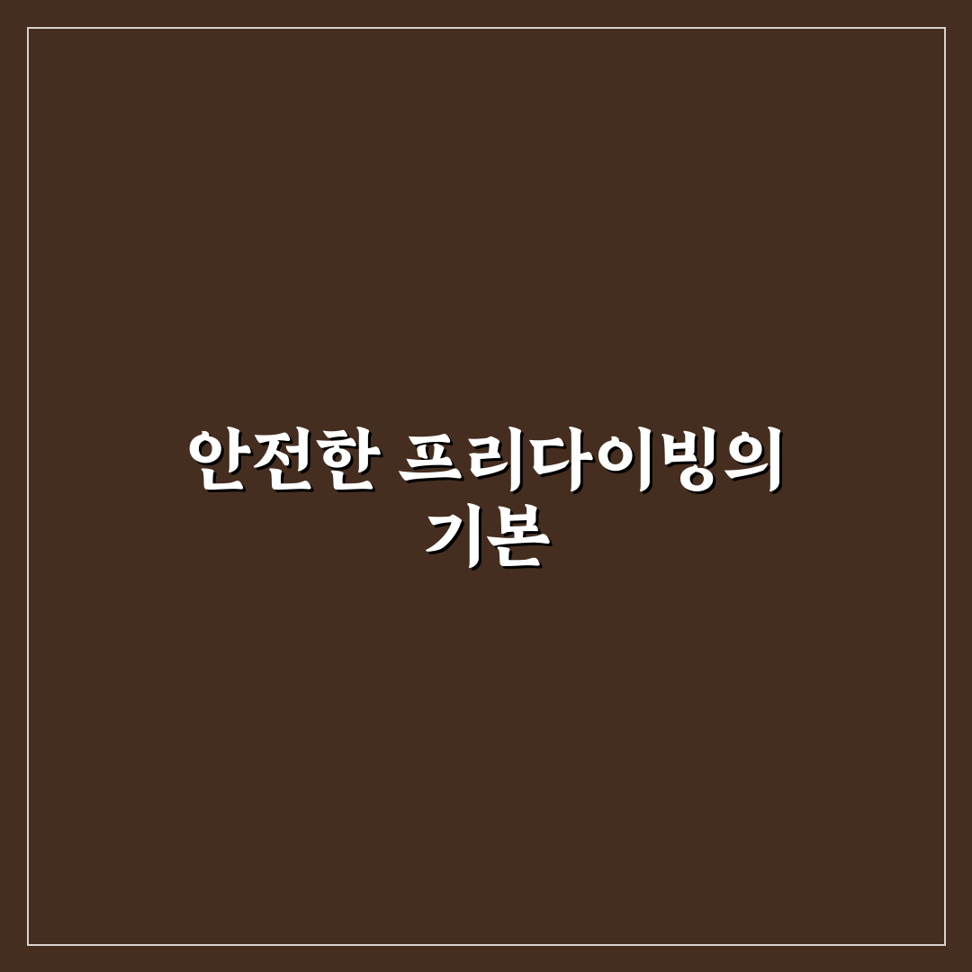 오키나와 프리다이빙 5가지 기준별 비교와 가이드