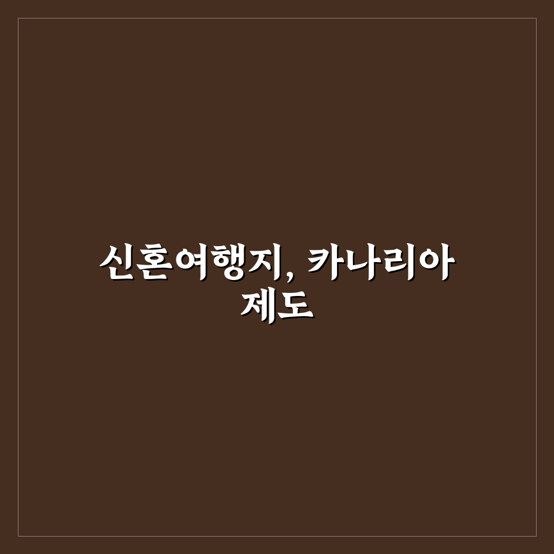 카나리아 제도 신혼여행 5가지 관광지 비교와 선택 기준
