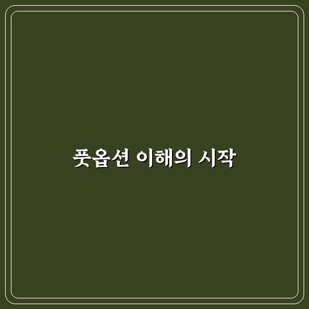 풋옵션 뜻과 활용법 5가지 기준 총정리
