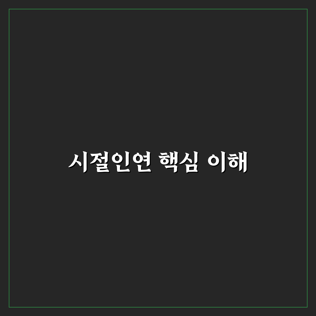 시절인연 가사 의미 분석과 감상 포인트 총정리
