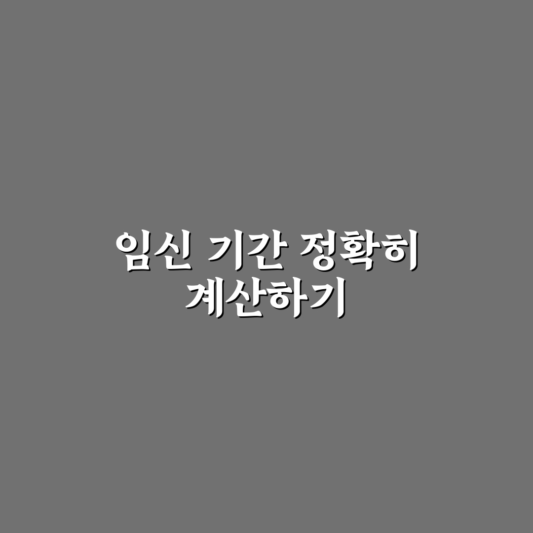 임산부 개월수 계산기 사용법과 주요 체크포인트 분석