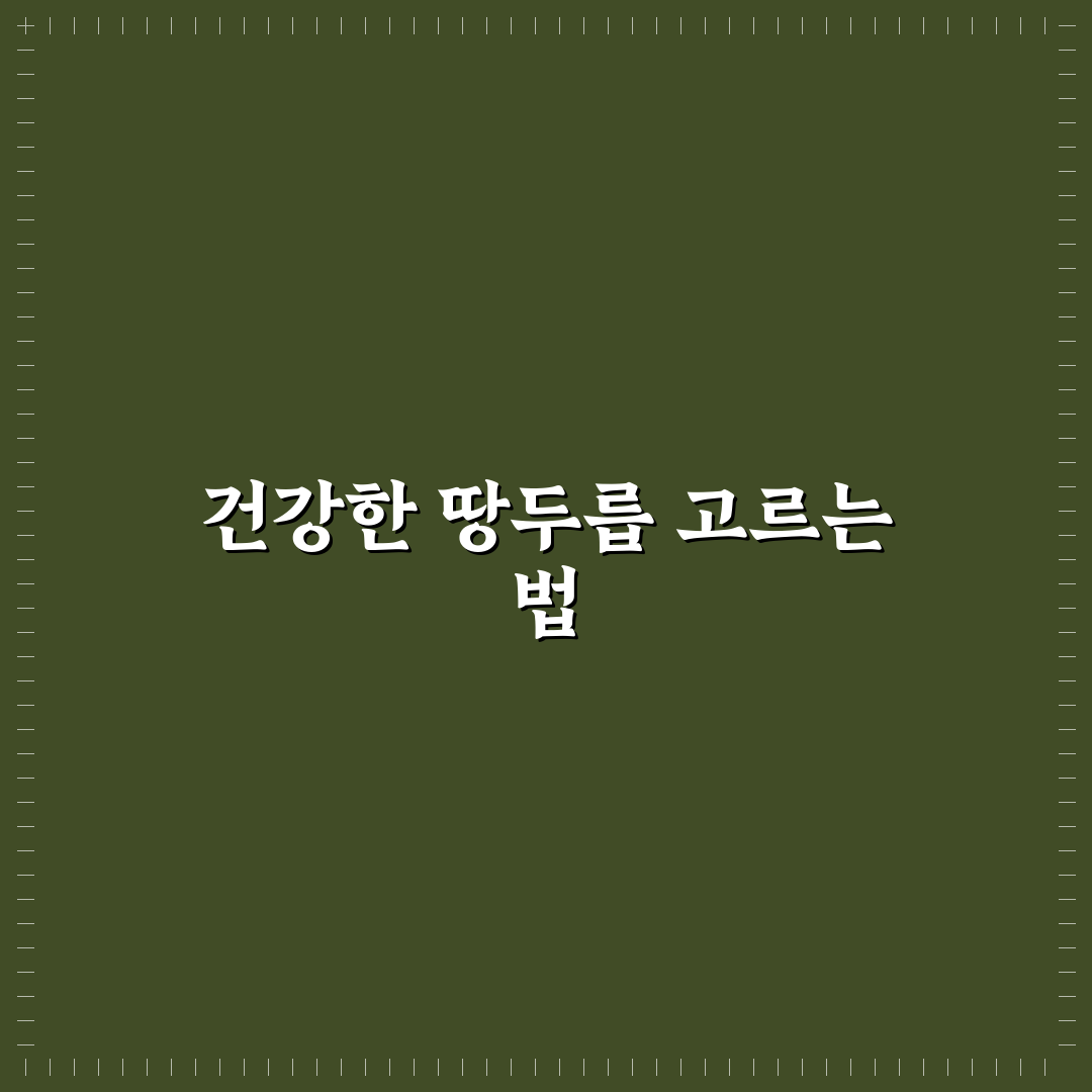 땅두릅 묘목 선택 가이드와 성장 비교 분석 5가지 기준
