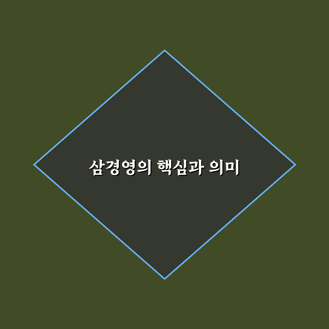 삼경영 비교와 분석을 통한 성공 기준 총정리