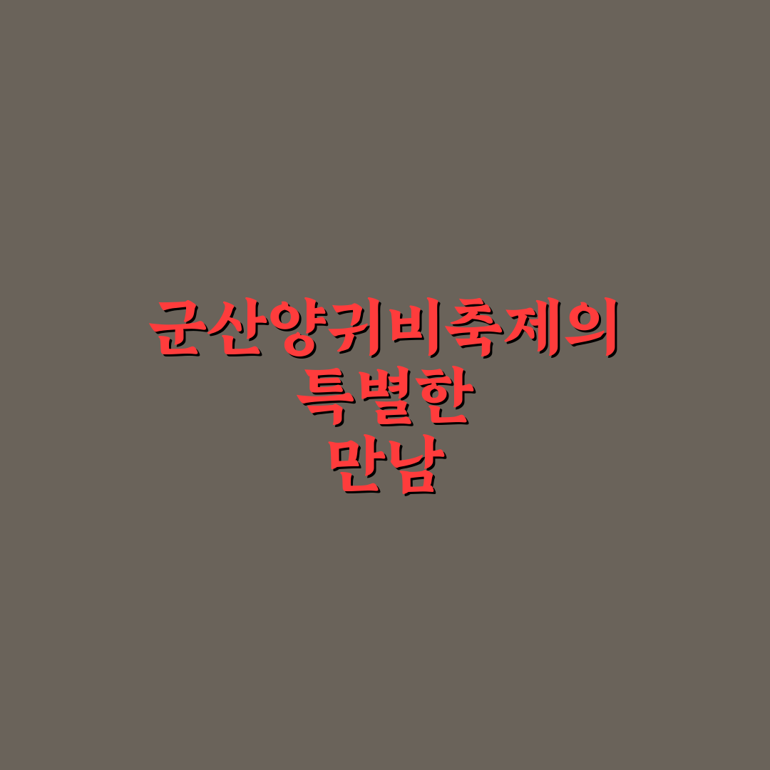 군산양귀비축제 주요 포인트 비교와 방문 가이드